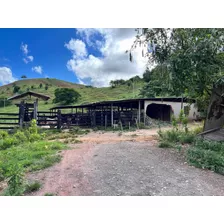 Fazenda Localizada Na Cidade Periquito