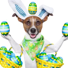 Pañuelo De Pascua Para Perro De Pascua Con Diseño De Huevo D