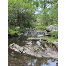 Campo En Carape - Con Hermosa Cañada - Oportunidad !!!!!