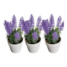 3 Mini Vaso Decorativo Lavabo Suculenta Planta Lavandas 