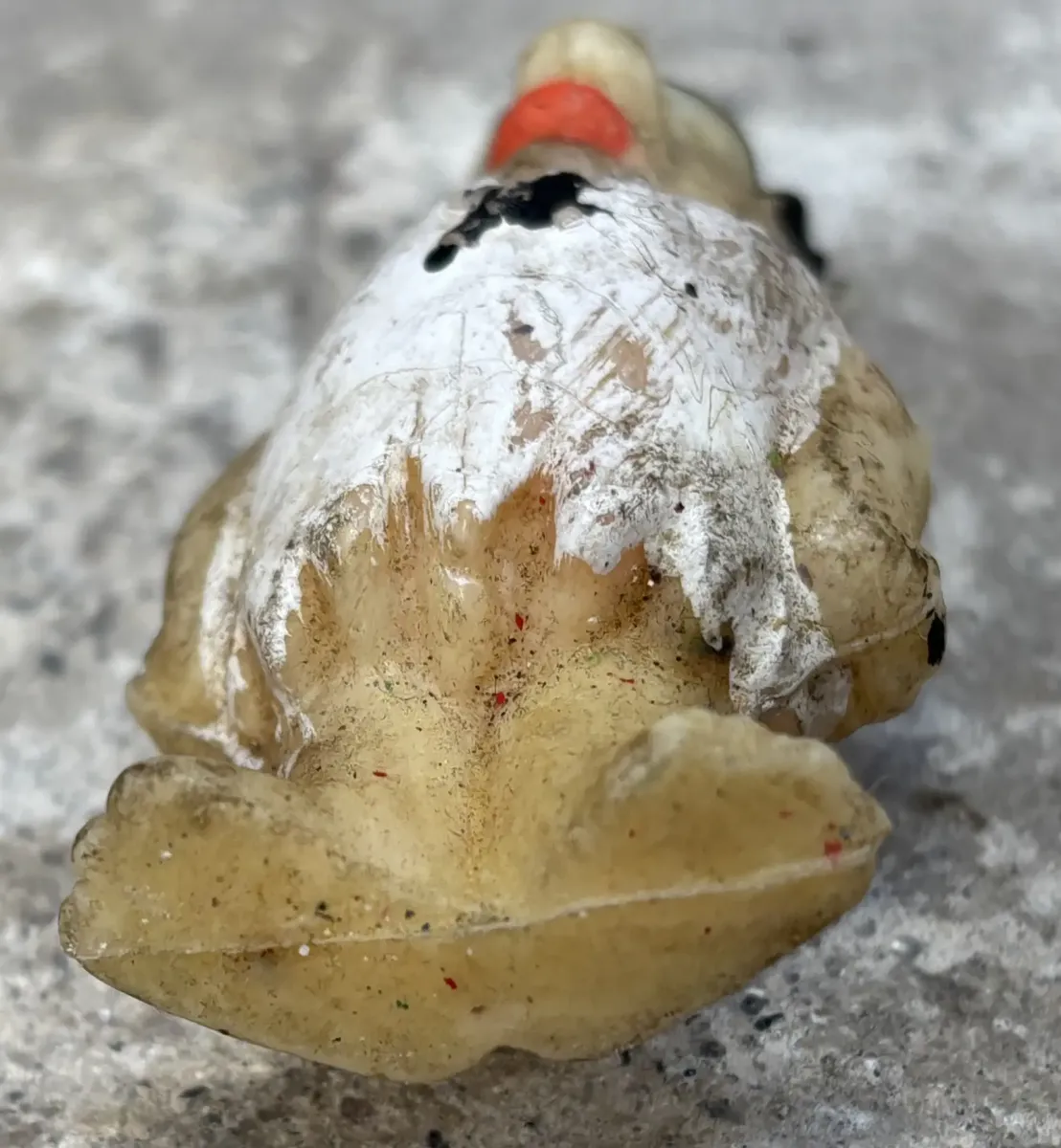 Miniatura 7
