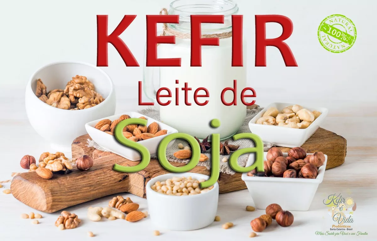 Kefir De Leite De Soja + Suporte Via Whatsapp + Brinde