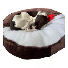 Cama Colchoneta Para Mascotas Perros Y Gatos Tallaxl Ref Cap