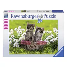 Puzzle Picnic - 1000 Piezas