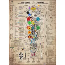 Póster Anatomía Oculta Impreso Hd - 65x90 Cm (vintage/perg.)