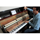 Bogotá Piano Workshop: Afinación Reparación Pianos Acústicos
