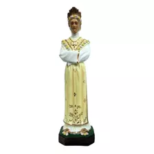 Nossa Senhora De Salete - 060 Cm