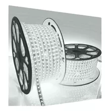 Mangueira Led Chata Branco Frio Ou Quente 220v Rolo 100mts Cor Da Luz Branco-frio