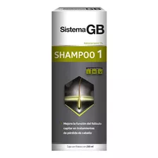  Shampoo 1 Sistema Gb Anticaída Y Anticaspa Para Hombre 230 Ml