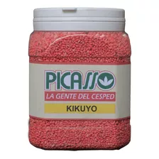 Semillas Cesped Grama Kikuyo Premium Australiano 1kg Picasso