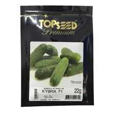 1.000 Sementes De Pepino Conserva Híbrido Kybria Topseed