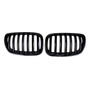 Rejilla Frontal Mate For Bmw X5 E53 X Series BMW X5