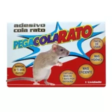 Ratoeira Adesiva Cola American Pet Ratos E Camundongos