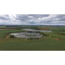 Fazendinha Região De Avaré Para Lavoura Com Irrigação Com 137,94 Ha Ou 57 Alqueires , Rica Em Água