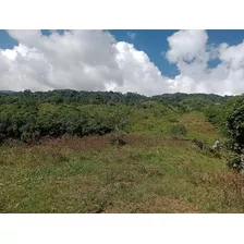 Finca De 140 Tareas De Venta En Bonao 