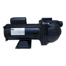 Bomba Dàgua Autoaspirante Dancor Bivolt 1cv Cor 52049 Fase Elétrica Monofásica Frequência 50 Hz 110v/220v