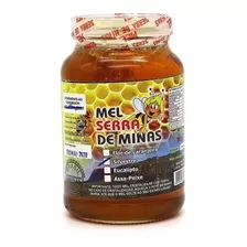 Mel Serra De Minas Com Favo Abelhas Premium 750g