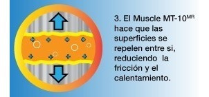 Muscle Mt-10 Antifriccionante Foto 4