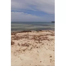 Magnifico Lote De Playa En Venta Isla Baru Cartage