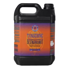 Shampoo Automotivo Desengraxante Tangerine Easytech 5 Litros