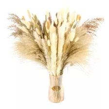 Plantas Decorativas 100pcs Pampas Secas Flores Artificiales