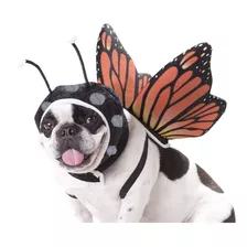 Disfraz De Perro De Mariposa Para Mascota De California Cost