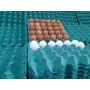 Terceira imagem para pesquisa de embalagem de papelao para 30 ovos