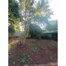 Terreno En Venta Minga Guazu 