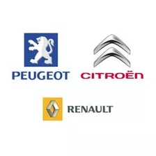 Scanner Peugeot Citroen Renault Stgo Profesional