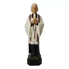 São João Maria Vianney 27cm Cura Dars Padroeiro Sacerdotes Cor Outro