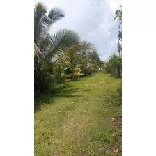 Vendo Esta Finca De 200 Tareas En Bayaguana