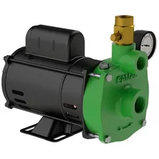 Bomba P/ Poço Semi Artesiano 1,5cv Fig-s110/220v Mono Famac