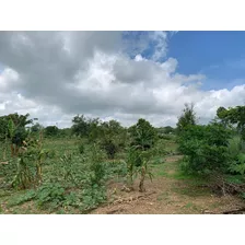 Vendo Finca 37 Tas Bonagua Moca Con Mejora Espaillat 