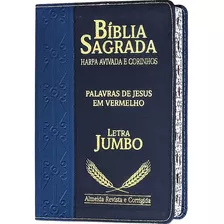 Bíblia Sagrada Evangelica Letra Extragigante Com Índice - Capa Preta
