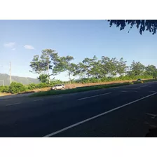 Vendo Finca De Oportunidad En Los Mogotes En El Km 60, Villa Altagracia, En La Misma Autopista Duarte, República Dominicana