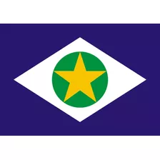 Bandeira Do Estado Brasileiro 100x70cm