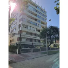 Apartamento 2 Dormitorios Con Cochera 