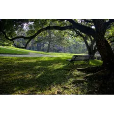 Jazigo Cemitério Parque Jardim Das Primaveras Ii