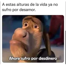 Nuevo 