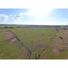 236hás Campo Criador En Florida