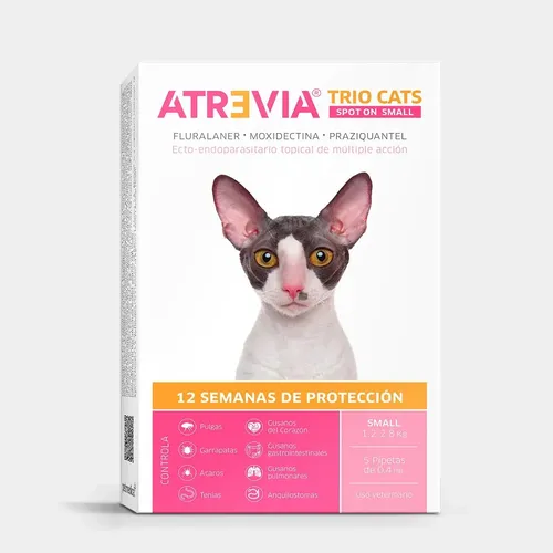 Tercera imagen para búsqueda de atrevia gatos
