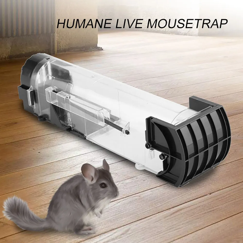 Terceira imagem para pesquisa de armadilha para gatos