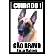 Placa Pastor Malinois Cuidado Cão Bravo Tamanho 20 X 30 Cm