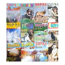 Sopa De Letras Pack 12 Unidades - Globalchile