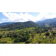 Finca De 118 Tareas De Venta En Jarabacoa 