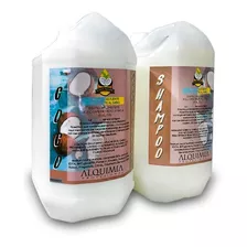 Shampoo Y Acondicionador Coco Oil X 5 Lts Alquimia.