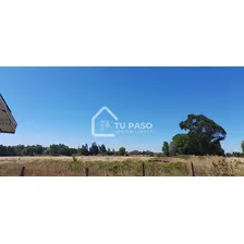 Industrial En Venta En Chillán Viejo