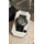 Reloj Casio Sgw-100