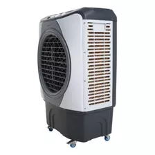 Climatizador De Ar Para Ambientes Blt-45 220