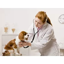 Programa Para Consultorios Veterinarios